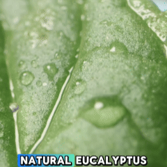 2-in-1 Sunscreen & Mosquito Repellent Stick